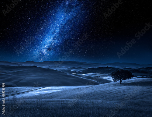 Alone tree on field at night with milky way