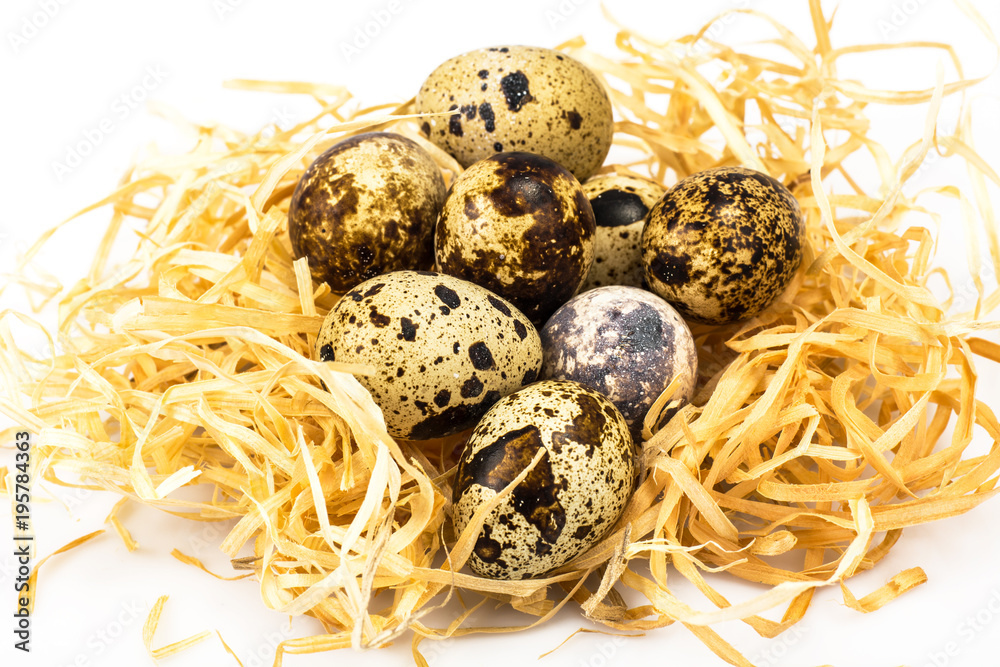 Symbols of the holiday Easter-nest, eggs, cookies Symbols of the holiday Easter-nest, eggs, cookies