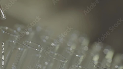 laboratory scientist working with a pipette analyzes and extract the DNA or molecules in the test tubes.on blue background
