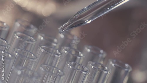 laboratory scientist working with a pipette analyzes and extract the DNA or molecules in the test tubes.on blue background
