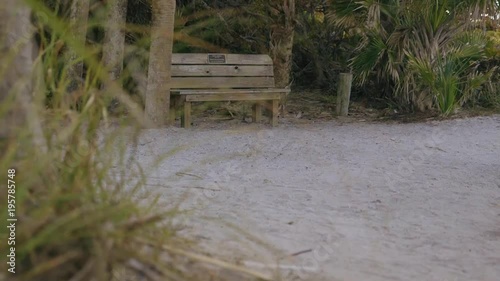 Vacant Bench on the beach