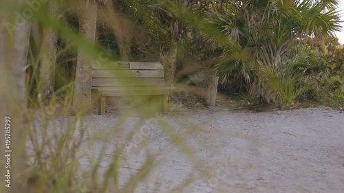 Vacant Bench on the beach