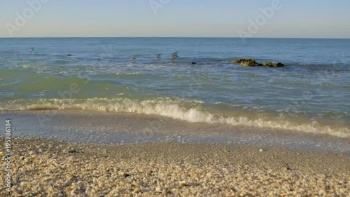 Sea Shell beach with rocks and waves