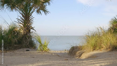 Beach entrance with palm tree