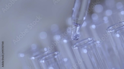 laboratory scientist working with a pipette analyzes and extract the DNA or molecules in the test tubes.on blue background
