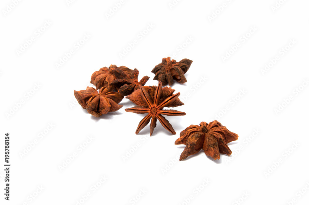 Anise star isolated on the white Anise star isolated on the white