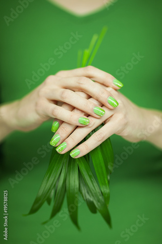 woman in green shirt hands holding some tropical leaves  sensual studio shot can be used as background