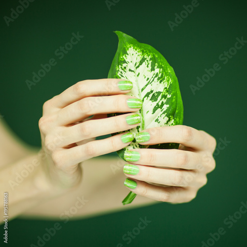 woman in green shirt hands holding some tropical leaves, sensual studio shot can be used as background