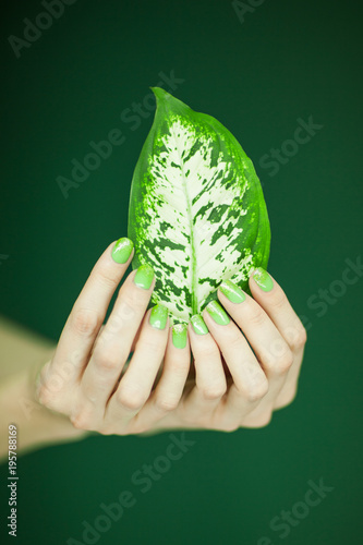 woman in green shirt hands holding some tropical leaves, sensual studio shot can be used as background