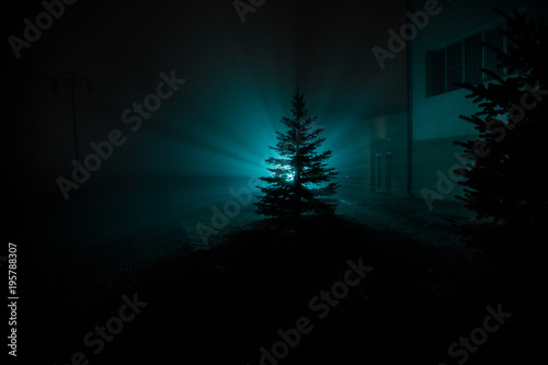 City at night in dense fog. Mystical landscape surreal lights with creepy man. The walking man's silhouette in night fog at artificial light. Beautiful mixed lighting from backside.