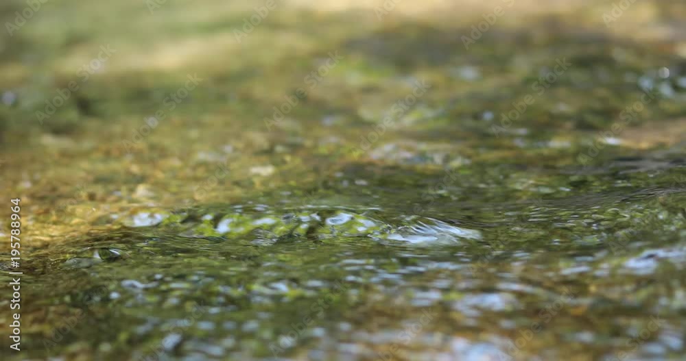 stream of river, purity clear water in nature stream of river, purity clear water in nature