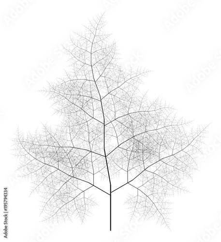 Flat Vector Computer Generated Self-Similar L-system Branching Tree Fractal - Generative Art 