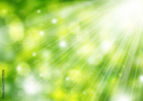 Spring blurred Sunny bokeh background green, yellow,white