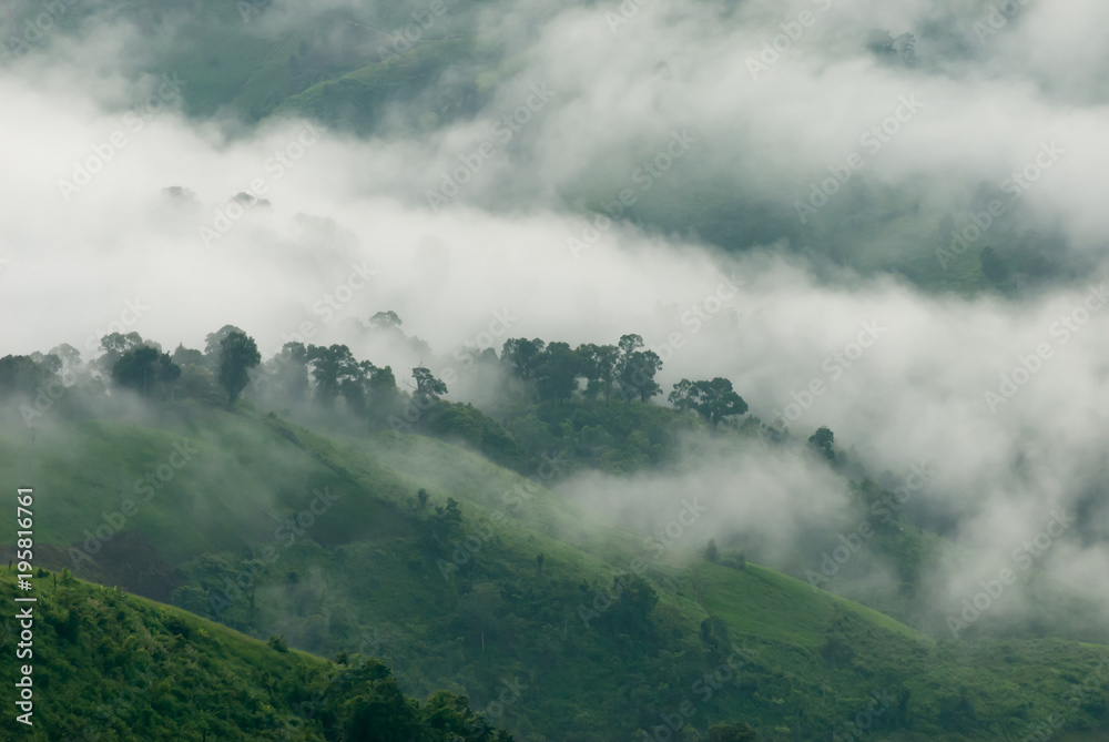 Fog flow at tropical rain forest and mountain landscape