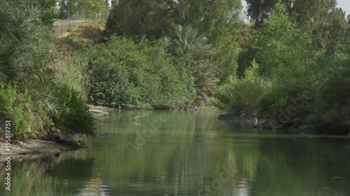Bushes and trees along the Jordan River