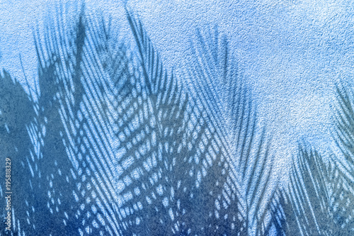 ombres de palmes sur mur en crépi bleu 
