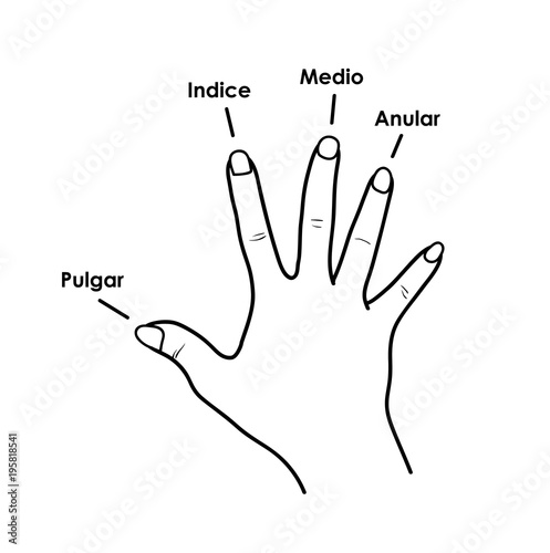 PIMA Fingers Technique on Classical Guitar, a hand drawn vector doodle illustration of fingerpick guitar technique.