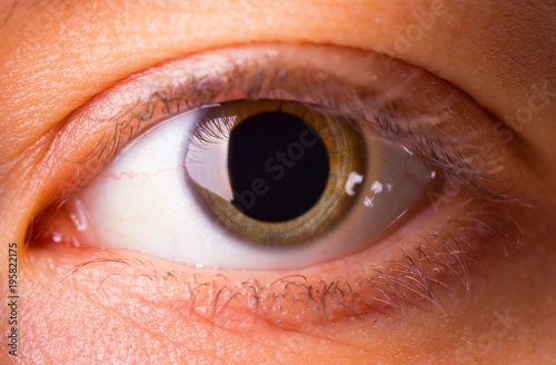 A young woman's eye - close up photo