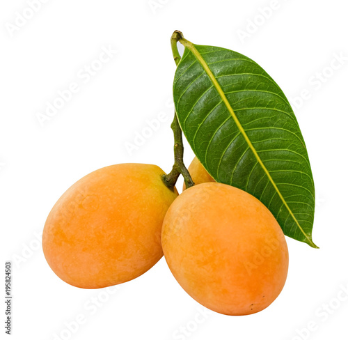 Marian plum or Plum mango with leaf isolated on white background photo