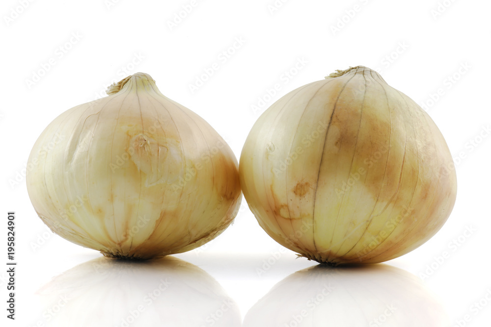 Obraz premium onion isolated on white background