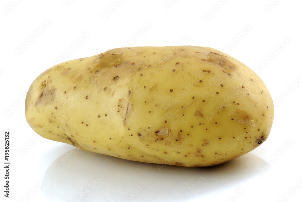 fresh potato isolated on white background fresh potato isolated on white background