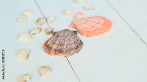 straw hat and seashells on wooden background.photo with place for text