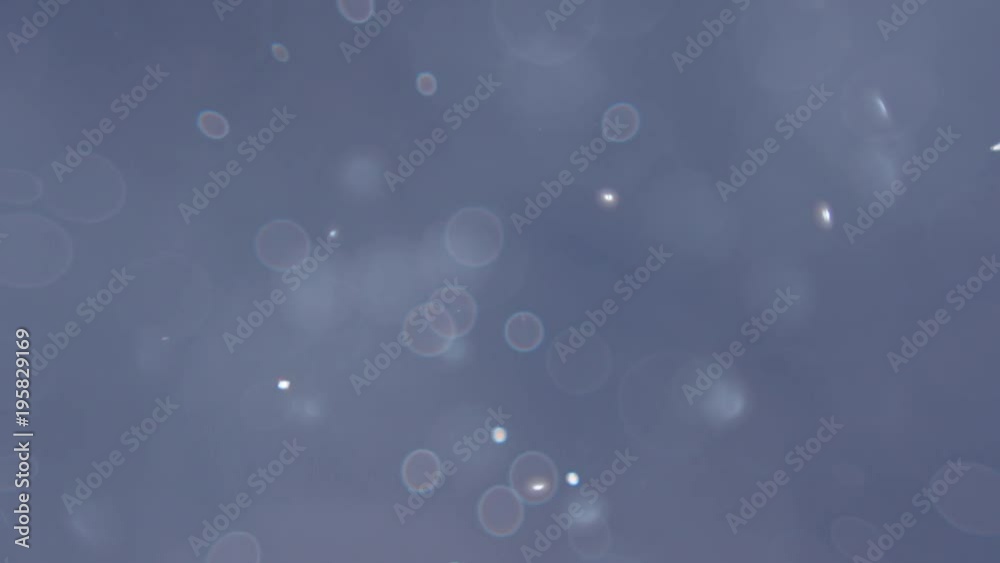 Slow motion close up shot of the tiny air bubbles in the aquarium. blue abstract lights bokeh. Slow motion close up shot of the tiny air bubbles in the aquarium. blue abstract lights bokeh.