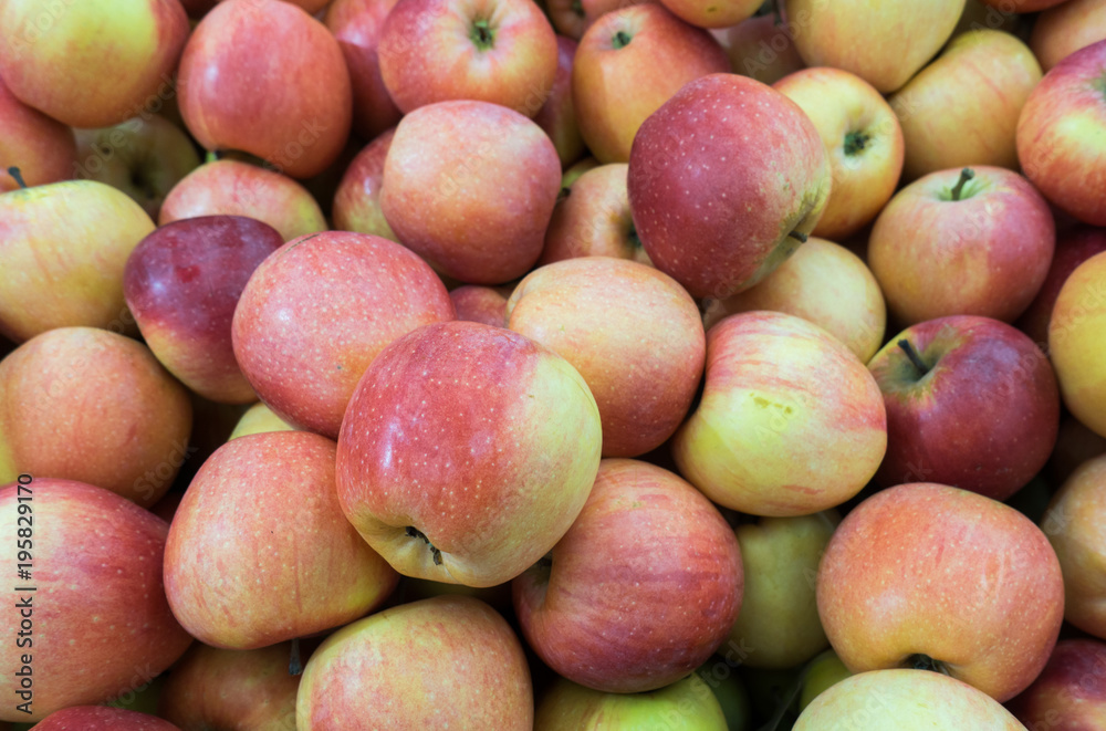 Red and green apples at the farmers market. red and green apples on the market Red and green apples at the farmers market. red and green apples on the market