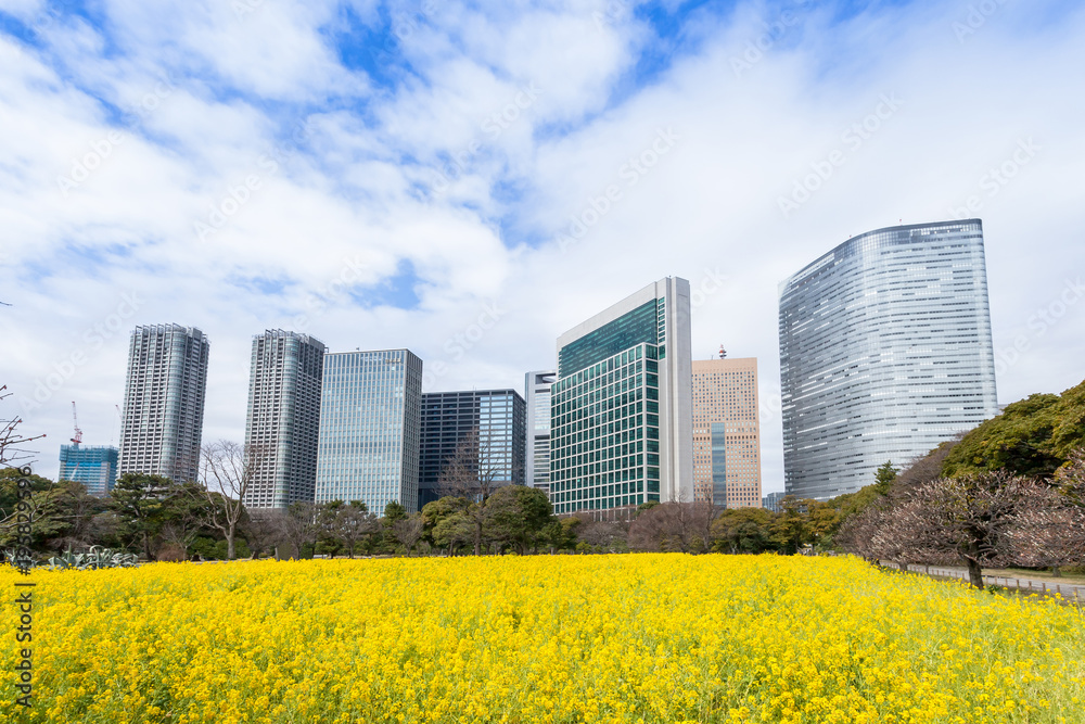 Obraz premium 浜離宮恩賜庭園