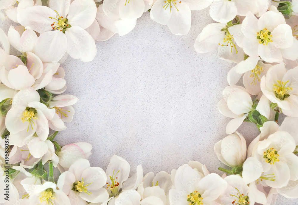 Spring blossom/springtime cherry bloom, toned, bokeh flower background, pastel and soft floral card, toned Spring blossom/springtime cherry bloom, toned, bokeh flower background, pastel and soft floral card, toned