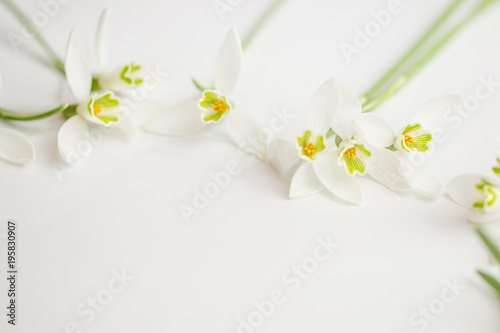 Romantischer Blumenrahmen mit Schneeglöckchen auf hellem Hintergrund