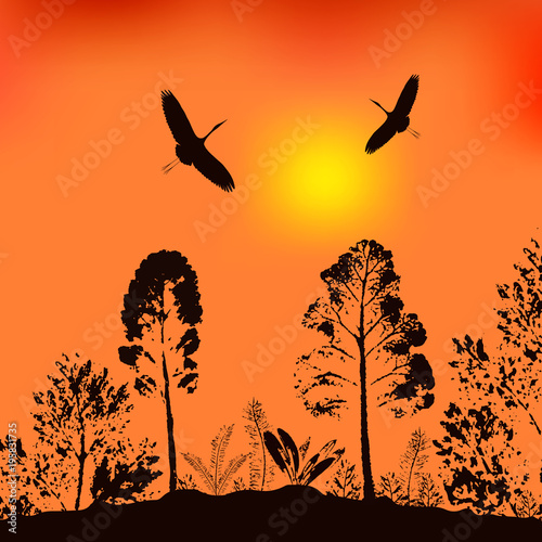 Vector illustration of wildlife. The background from the evening sky, trees and flying birds. © gala