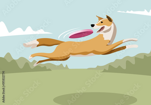 Dog catching frisbee in jump