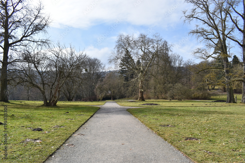 Beautiful path with many trees on the way to the World Cultural Heritage Herkules in Kassel, Wilhelmshöhe, Germany