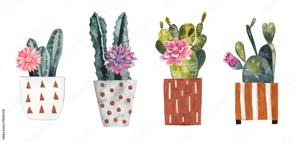 Akwarela kaktusy w dekoracyjne doniczki na białym tle <span>plik: #195833541 | autor: scarlet_heath</span>