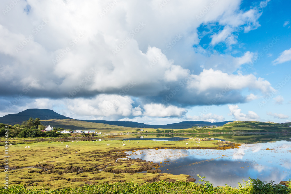 Idyllic Scottish landscape with a loch, sheeps and green hills in a sunny day, Isle of Skye, Dunvegan, Scotland, Britain
