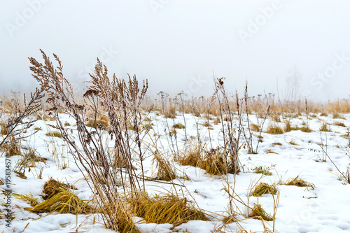Thick fog early cloudy winter morning. Snowy landscape in the season of harsh Russian winter