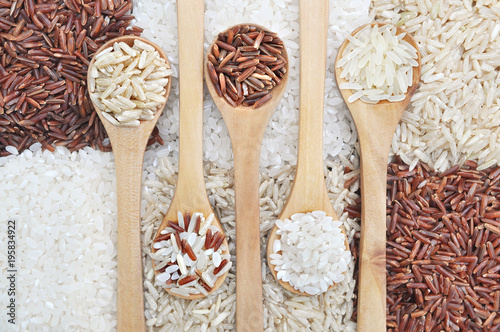 Mix of rice grains varieties: white, red, brown and mixed seeds