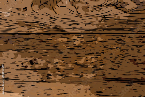 old bark wood texture background