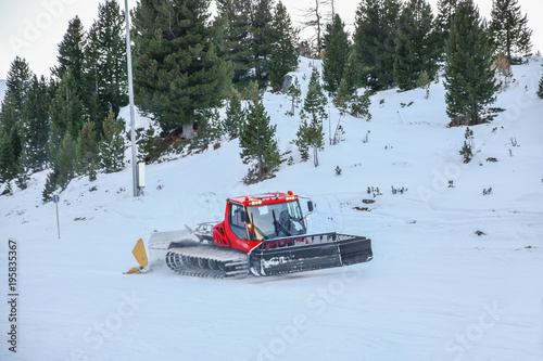 Red pisten bully cleaning snow on winter mountain with pine tree background