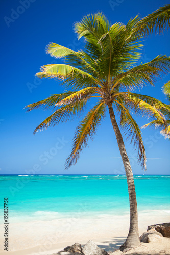 Fototapeta Naklejka Na Ścianę i Meble -  Tropical beach. Ocean and palmtrees background. White sand and crystal-blue sea. Ocean water nature, beach relax. Summer sea vacation. Caribbean beach background