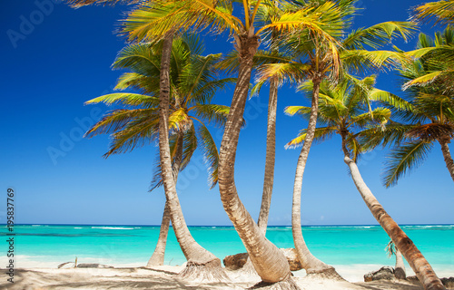 Tropical beach. Ocean and palmtrees background. White sand and crystal-blue sea. Ocean water nature  beach relax. Summer sea vacation. Caribbean beach background