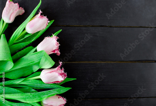 Tulips on wooden background photo