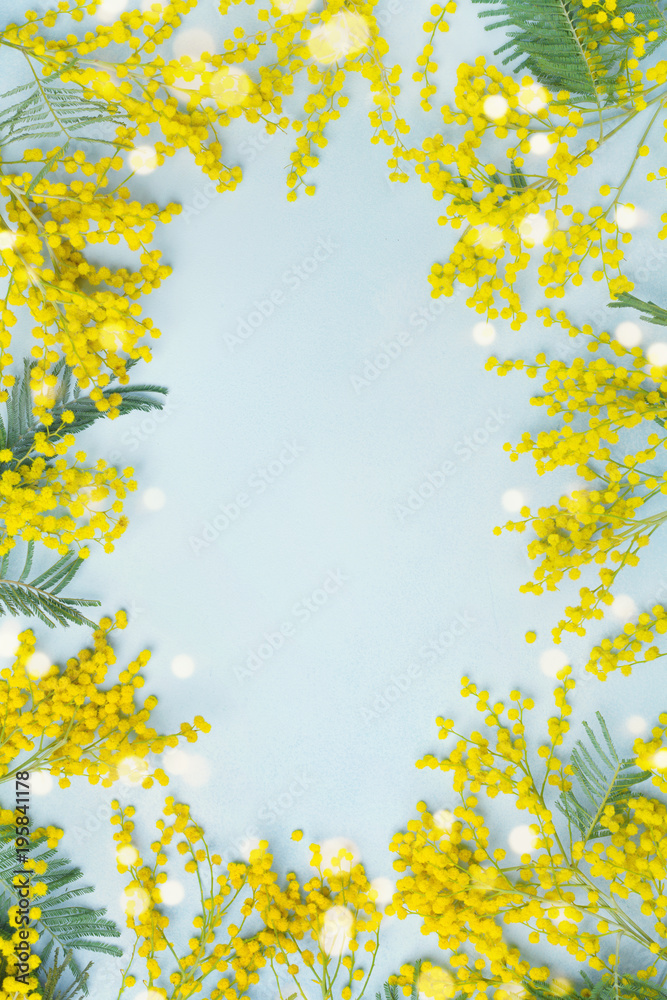 Yellow mimosa flower frame. Spring card for Mothers day or Easter. Yellow mimosa flower frame. Spring card for Mothers day or Easter.
