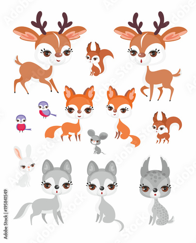 The image of cute forest animals in cartoon style. Children   s illustration. Vector set.