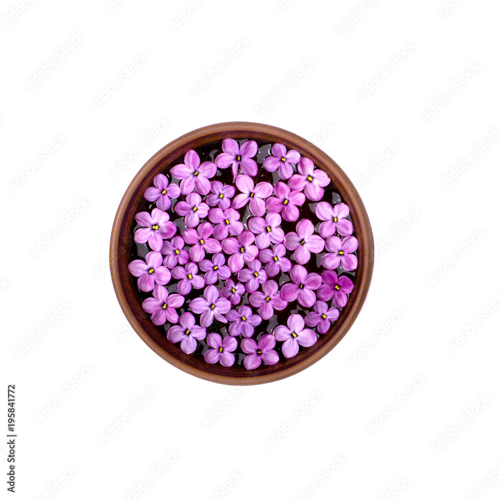 Bowl with lilac flowers Bowl with lilac flowers