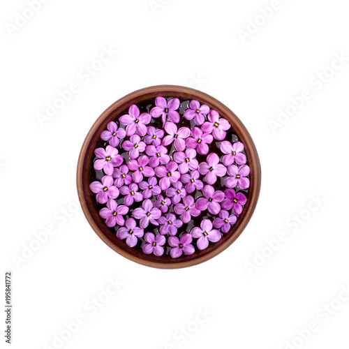 Bowl with lilac flowers
