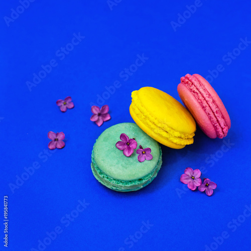 Macaroons on a blue background