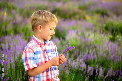 Boy in a lavender field