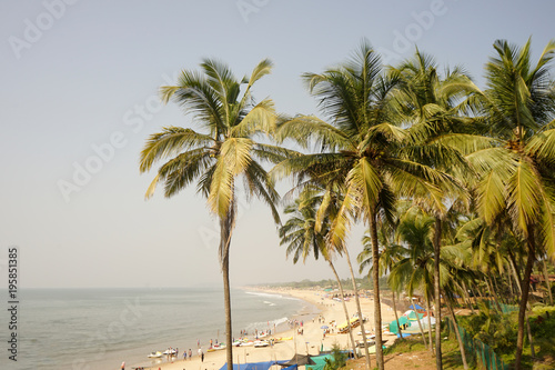 Summer view in Goa